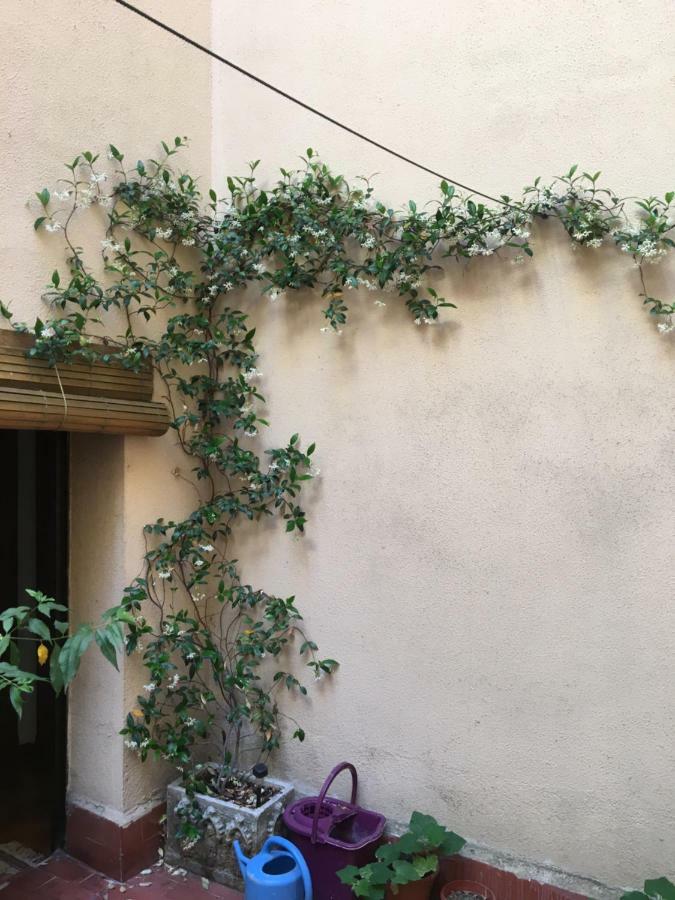 Apartment Vut Plaza Del Rastro